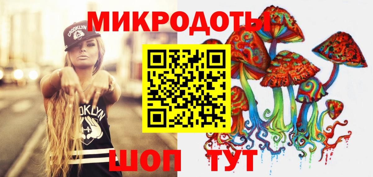 Дзержинский  Галлюциногенные грибы Psilocybine cubensis  Вход с VPN 